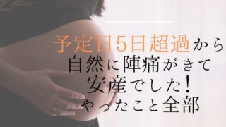 もちふくgo ワーママの自由を増やすブログ