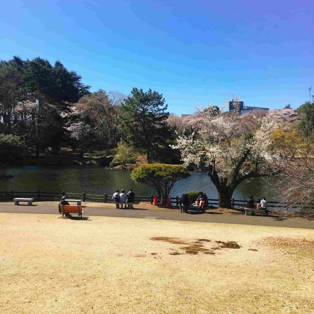 お店の前の池と芝生