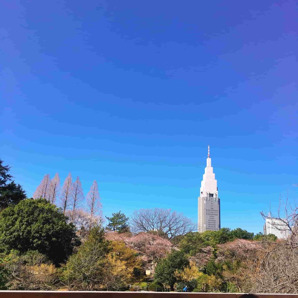 スタバからの新宿の景色